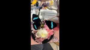 Robot butterfly shows what the future of wildlife could be