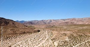 Arid Desert With Indigenous Ocotillo Plants In California, USA. aerial shot