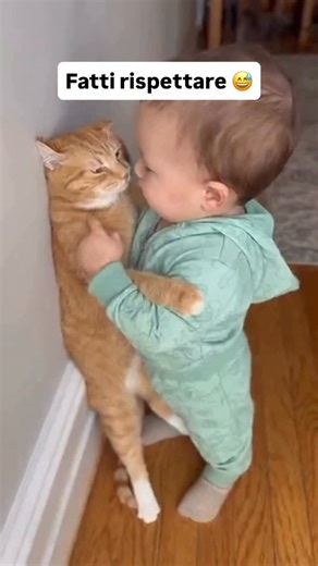 Psicologo del Benessere - dr. Roberto Ausilio on Instagram: "Fatti rispettare!! C’è una cosa che vedo spesso nei #professionisti. Non è che non sappiano farsi rispettare. È che pensano che per farlo serva essere duri, alzare la voce o arrivare allo scontro. In realtà no. I confini non si impongono. Si comunicano. Quando dici da subito cosa è ok e cosa no, con calma, chiarezza e coerenza, l’altro si orienta. E tu ti risparmi una quantità enorme di stress. Il problema nasce quando i confini arriva