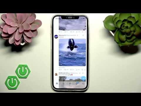 How Many Followers On X To Get Paid