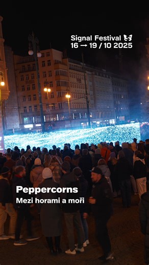 Signal Festival je za námi! 🎇 Děkujeme, že jste se zastavili ocenit toto netradiční a okouzlující umění. ⚡ My už se moc těšíme na příští ročník — a vy? 😊 | Palladium