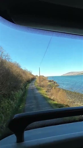 A random bus ride