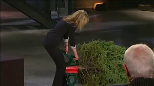 Watch Omega Christmas Tree Stand on Amazon Live