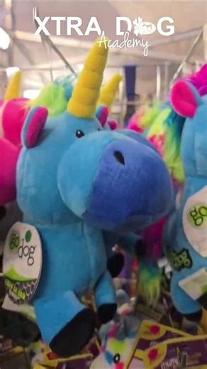 Xtra Dog at Crufts 2026 #shorts