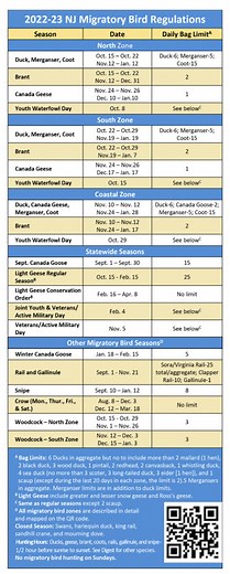 NJDEP| Fish & Wildlife | Waterfowl and Migratory Birds in New Jersey