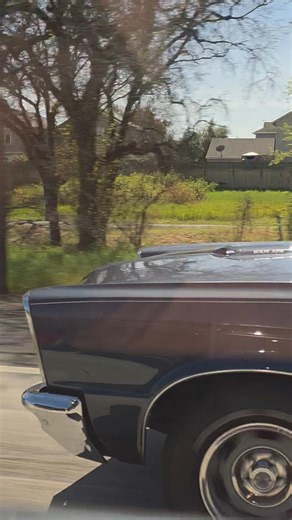 Spotted. 1965 Pontiac GTO 15th March 2026
