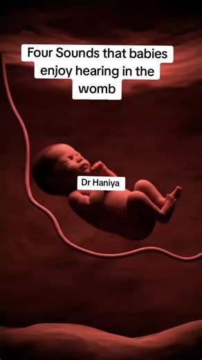 4. Sounds that babies enjoy hearing in the womb 💕 #pregnancy #usatiktok🇺🇸 #babyontheway #baby #unfreezemyacount