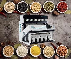 [Hot Item] CCD Optical Sorting Sticky Rice Color Sorter Machine for Multiple Grains