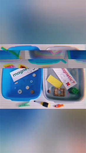 Magnetism project performed by Level 5 | Future Executives School Sillanwali