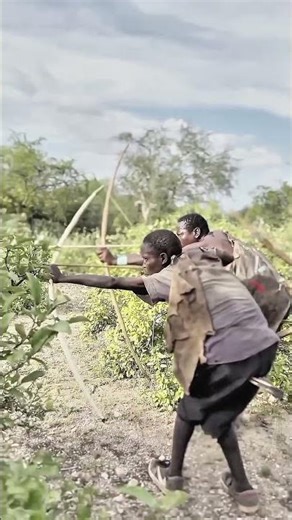 Wild Boars Run Through the Jungle | Real Movement & Survival | Wildlife Documentary