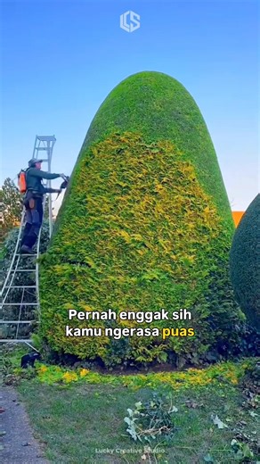 Cuma bersihin taman, tapi bikin ketagihan nonton