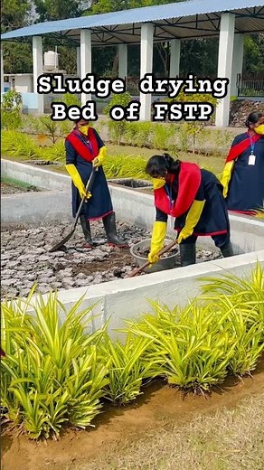SHGs working in FSTP | Faecal sludge and treatment plant,Odisha | Sludge drying bed | Biosolid