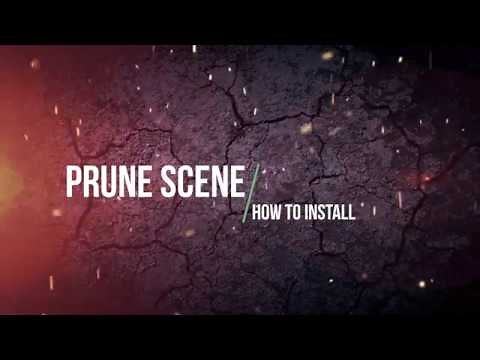 Prune Scene How to install