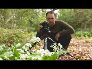 Long Lens Macro Photography | How to Photograph Spring Flowers (EF 300mm F/4 Lens)