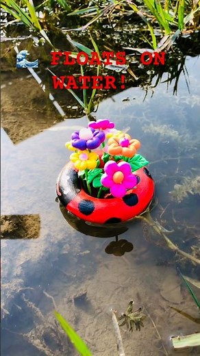 DIY Floating Ladybug Planter 🐞 | Best Out of Waste Ring Toy | Water Floating Planter #ajcreation