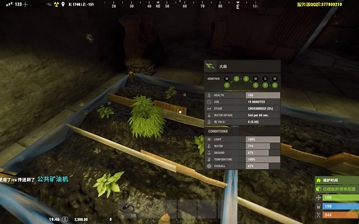 Rust 种植自动浇灌电力、布种子转基因、种布的基本方法！~