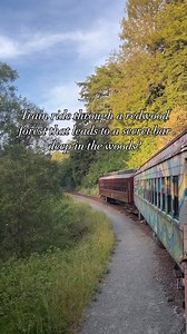 All aboard for Great Outdoors Month! 🌲🚂 Join us as we celebrate the beauty of nature aboard the Skunk Train. 🌞 Whether it's exploring lush redwood forests or coasting along scenic rivers, there's endless adventure waiting for you in June! Beautiful video by @thriftytravelgal | Skunk Train