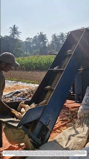 Post-Harvest Processing: How a Corn Sheller Improves Harvest Efficiency