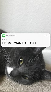 2.2M views · 14K shares | ...licking myself doesn't count? | TXT Stories | Facebook