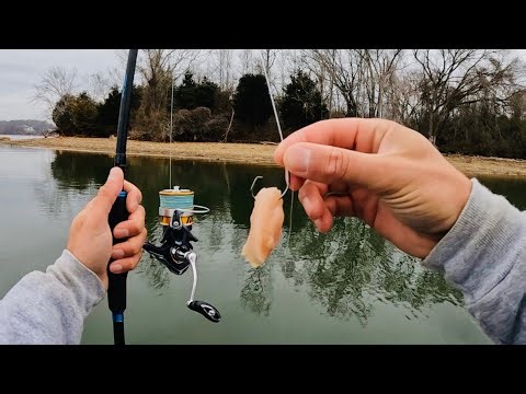 4 Hours of RAW and UNCUT Light Tackle Catfishing with Chicken and Crappie Jigs
