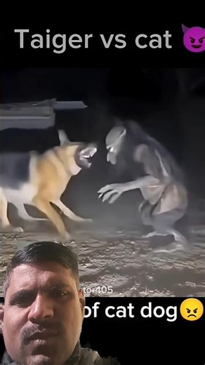 #roshninandi​ taiger versus cat😈 viral Ghost vs dog☠️#cat​ #dog​.#animalvideo​ #animal​ #animals​