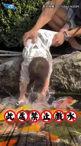 【爸爸帶娃不意外】陪孩子餵鯉魚！下秒兒子慘落水... #shorts - 影片授權：IG／chen.le2024 | 中天新聞
