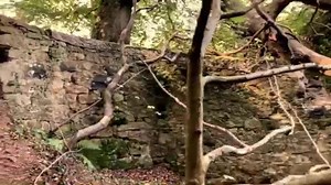 1.8K views · 86 reactions | The caves at Sunlaws near Roxburgh are pretty impressive and strange. Take a look..... | Discover Scottish Borders with Mark Nicol | Facebook