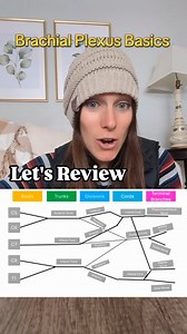 Let's review the basics of the brachial plexus! #anatomy #anatomyandphysiology #learnwithme #stem #education | My Anatomy Teacher