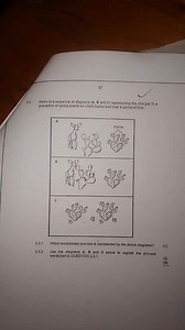 2.3 Below is a sequence of diagrams (A, B and C) representing t... | Filo