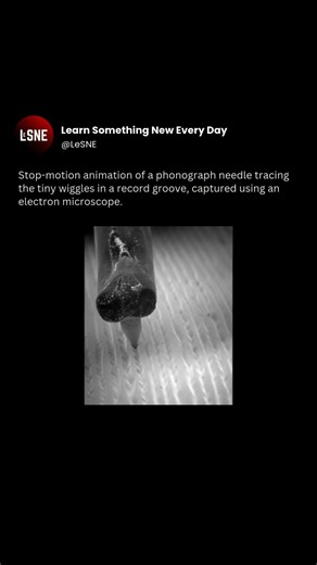 @LeSNE on Instagram: "@LeSNE(2428)...The process of a phonograph needle (properly called a stylus) turning physical bumps into music is a classic example of transduction. Transduction is converting one form of energy (mechanical vibration) into another (electrical signals and then sound waves). Video Credits: Applied Science . *Follow to Learn Everyday* @learn_something_new_every_day_ @learn_something_new_every_day_ @learn_something_new_every_day_ *Share if You Love to Learn* . #vinyl #music #mu