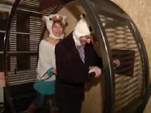 French Hotel Lets You Live Like a Hamster