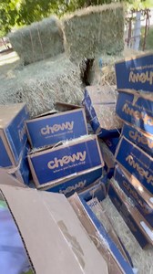 10K views · 779 reactions | Blessings are chasing us down! I'll be...