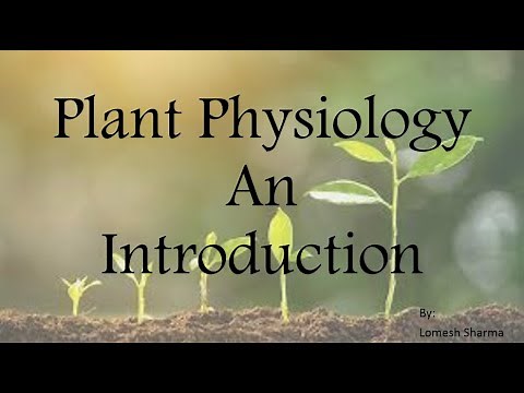 Plant Physiology An Introduction