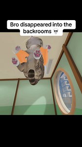 Bro disappeared into the backrooms 😭 Meow Mart VR 🕹️ #vrgame #vr #quest2 #quest3 #virtualreality