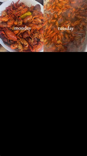 Mudbugs all day, every day. 🦞🔥 If you’re craving crawfish, you already know where to go. The pots are hot, the seasoning is right, and the vibes never miss. Pull up, grab a tray, and get messy with us. Around here it’s simple: eat crawfish, drink something cold, and have a damn good time. #Mudbugs #CapCut #Springbreak #fyp #viralvideo