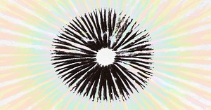 How to Make a Spore Print