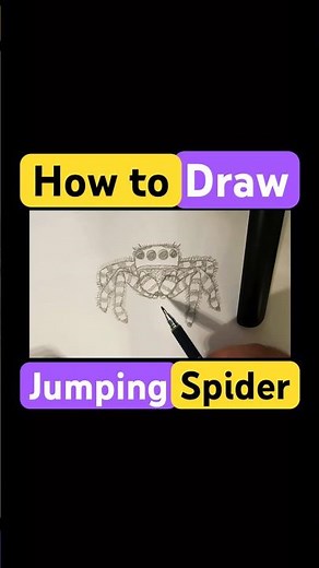 Draw Jumping Spider #drawing #art #sketch #tutorial #realistic #howtodraw #draw #drawingtutorial