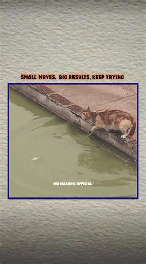 Small moves, Big results , Keep trying #respect #nevergiveup #motivation