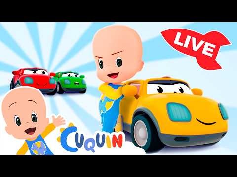 🔴DIRECTO🔴 Aprende colores, números y formas con Cuquín | Videos educativos