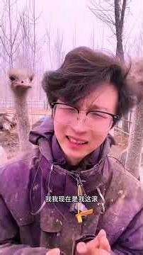 Daily Real Moments with Animals 🐾 Random Animal Vlog