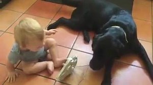 7.3K views · 436 reactions | We are that family. You will need sound on to see what I mean. Thank you everyone at Disney/Star Wars for this awesome speaker. | Saving Luke - Luke and Jedi - Fighting Type 1 Diabetes Together | Facebook