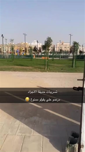 الواحة: استكشاف جمال جدة والسامر