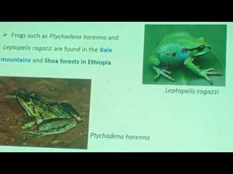 Biology Grade 11 unit 2 part 5