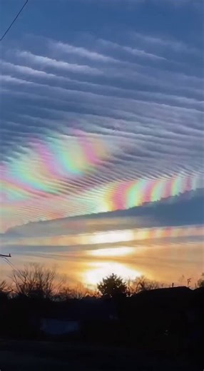 The Ever-Present Film of Metallic ChemSludge is really putting it to the test how deep the programming is now & TV Pod People seem to truly believe the sky always looked like this 📺👀😵‍💫🥴*I think most of em on X are Trolls & Bots though 🤖