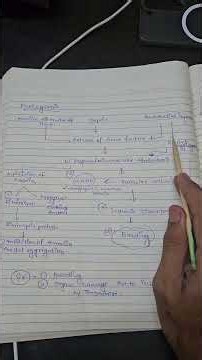 🩸 DIC (Disseminated Intravascular Coagulation) #MBBS #Pathology #MedicalStudents