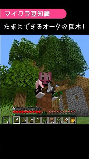 【マイクラ豆知識】植林の高さ制限は何マス？ 1.21 #shorts #マイクラ #java版マイクラ #マインクラフト #マイクラ装置 #minecraft