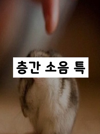층간 소음 문제 해결 방안