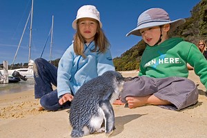 Exploring the Animals of New Zealand: A Journey into Unique Biodiversity