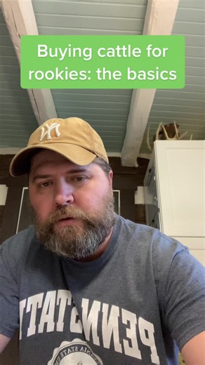 Buying Cattle for Rookies: Expert Tips for Beginners