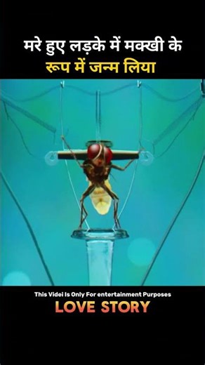 मरे हुए लड़के में मक्खी के रूप में जन्म लिया #mhacommunity